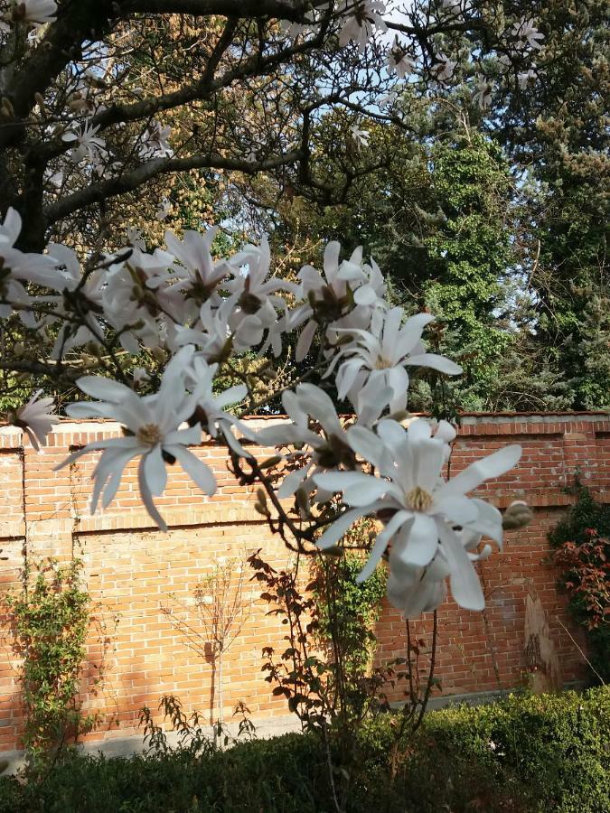 A Casa Di Dora Treviso Exterior foto
